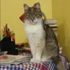 Отзыв от Варвара Соболева
